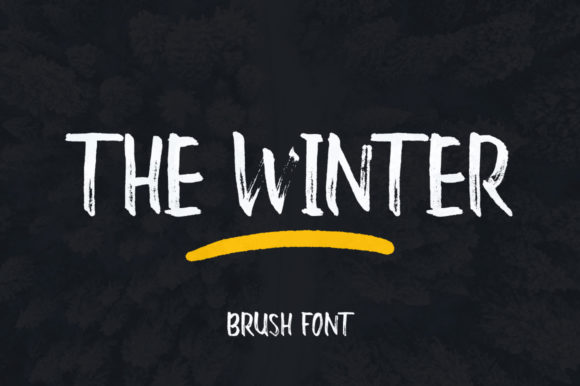 The Winter Display Font for Eye-Catching Design